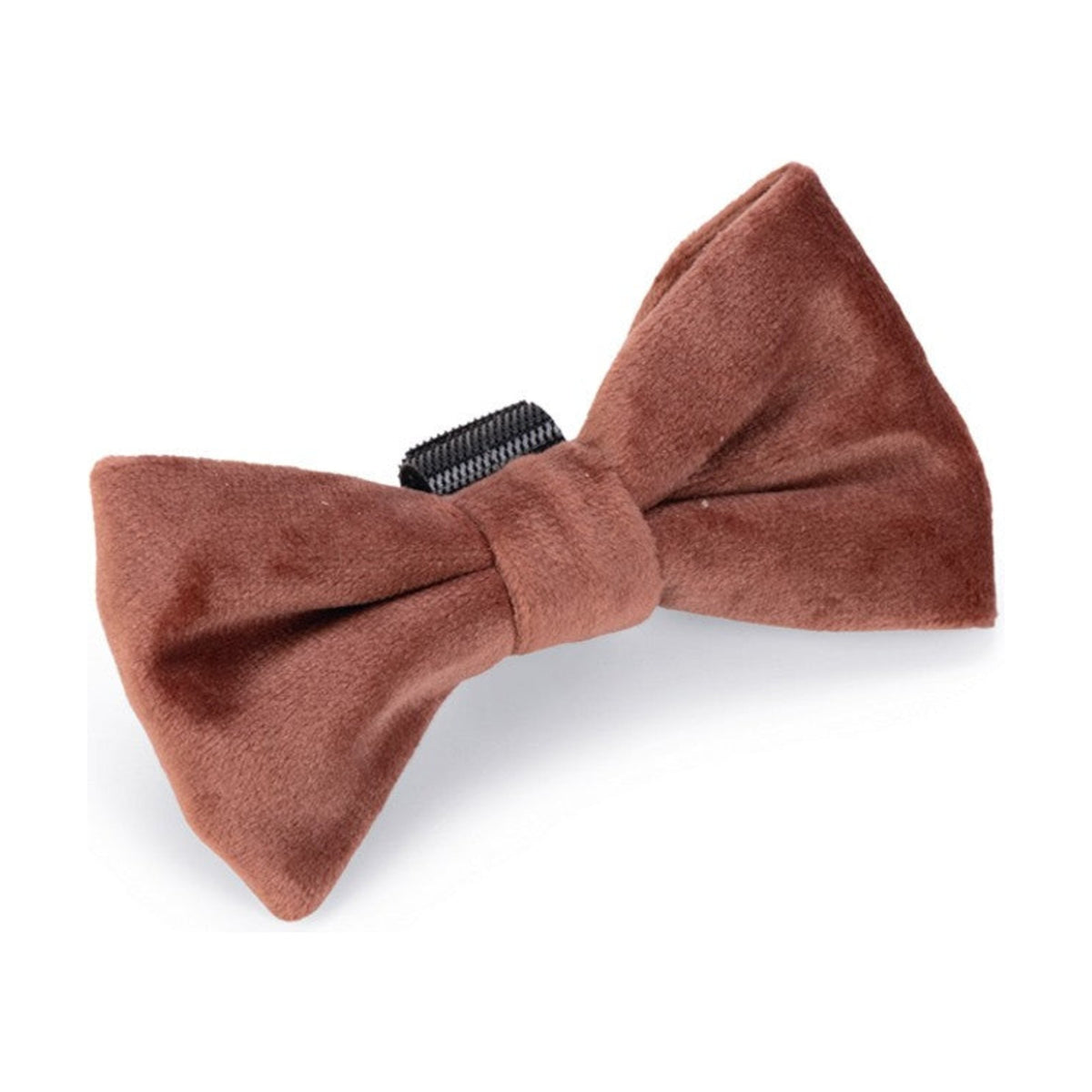 DESIGNED BY LOTTE Nœud papillon Zaza – Nœud en velours pour chien – photo 4