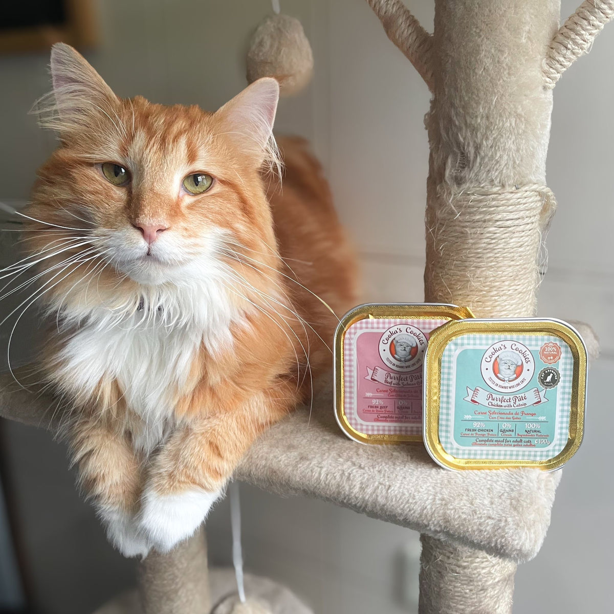 COOKA'S COOKIES Pâtée Bœuf – Pâtée pour chat au bœuf et à l'huile de saumon 100 g – photo 3