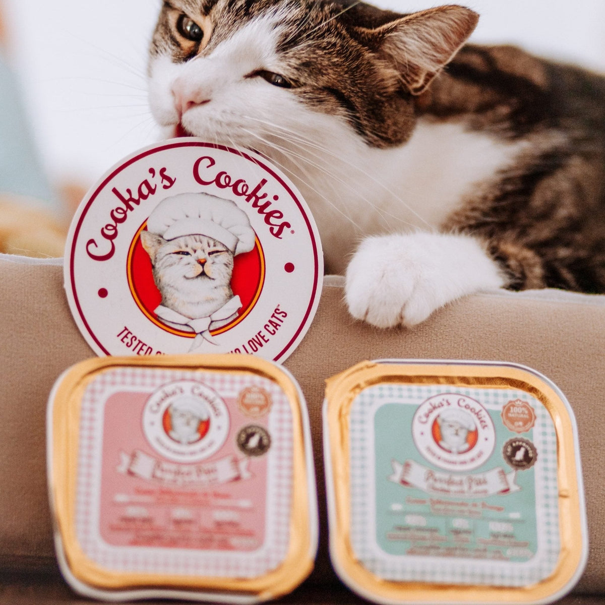 COOKA'S COOKIES Pâtée Poulet & Catnip – Pâtée pour chat au poulet 100 g – photo 2