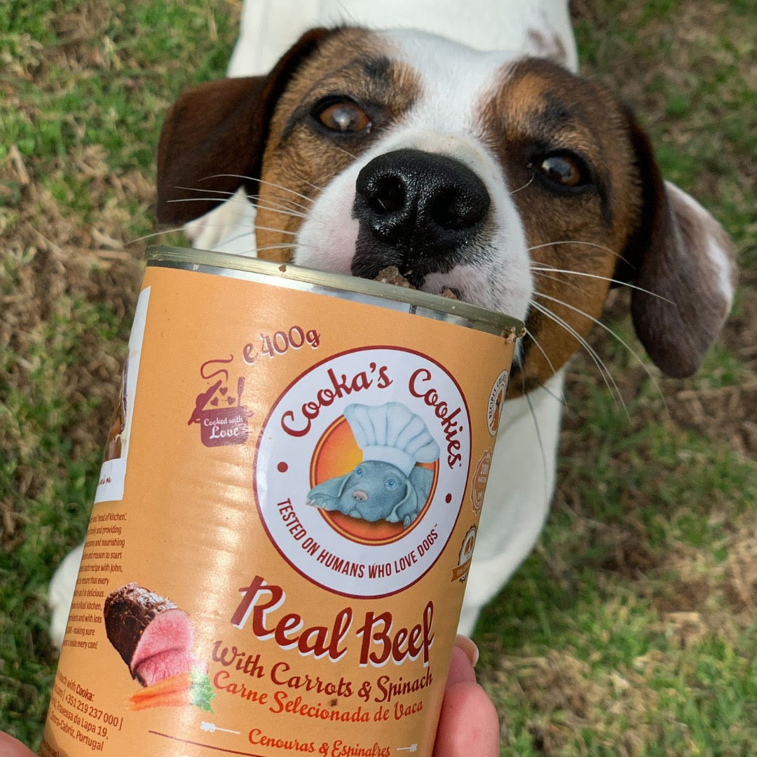 COOKA'S COOKIES Pâtée Bœuf – Pâtée pour chien bœuf, légumes et épinards – photo 4