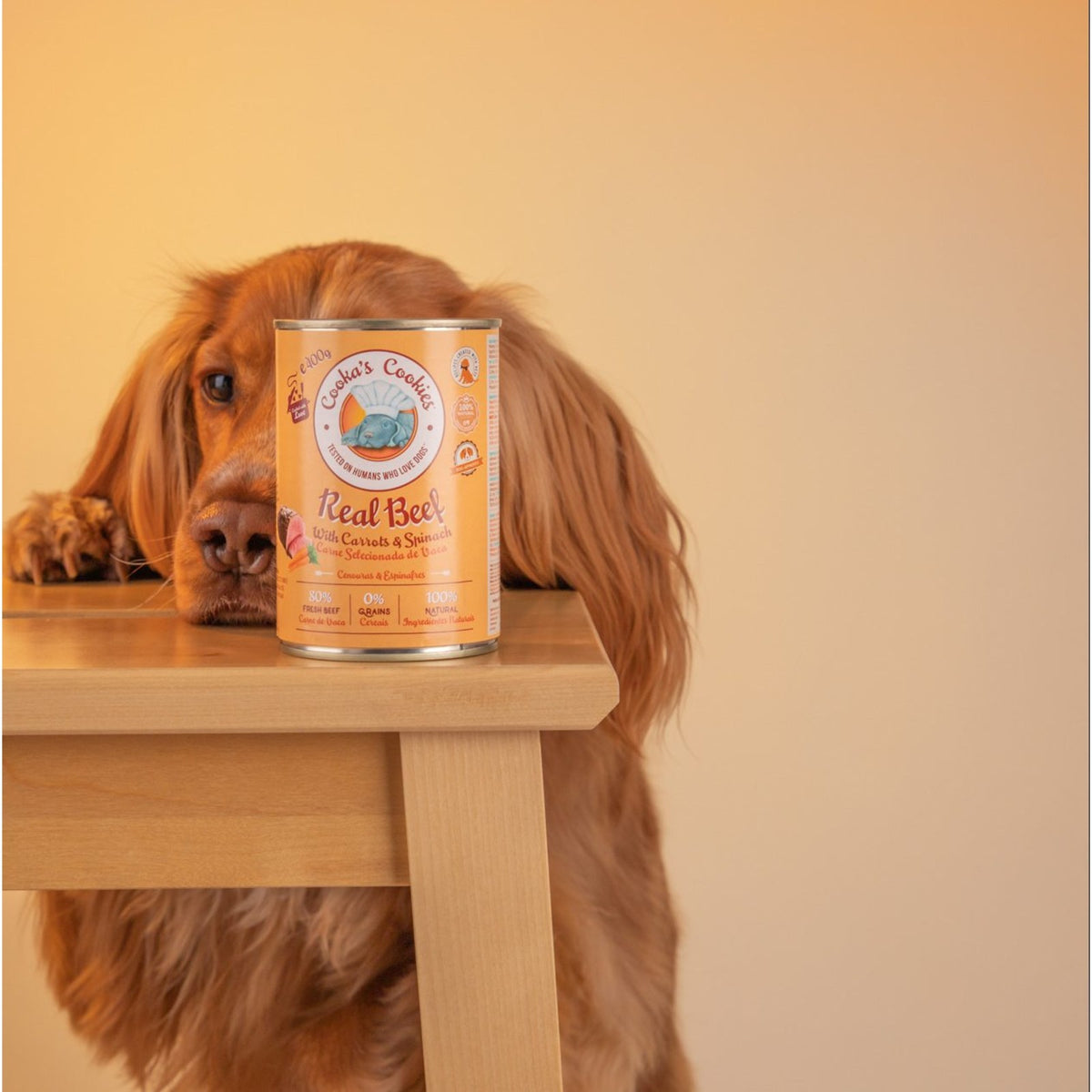 COOKA'S COOKIES Pâtée Bœuf – Pâtée pour chien bœuf, légumes et épinards – photo 5