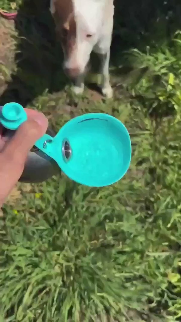 Customer video