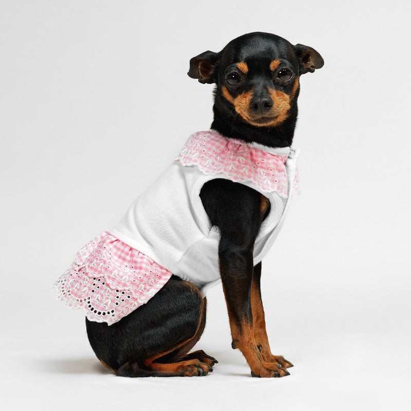 Robe à volants Joy – Robe vichy rose à col dentelle pour chien – photo 2