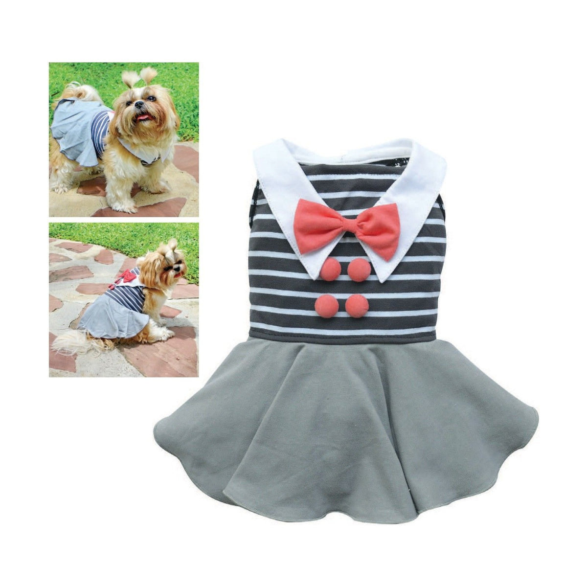 Robe chien col blanc, noeud et pompons