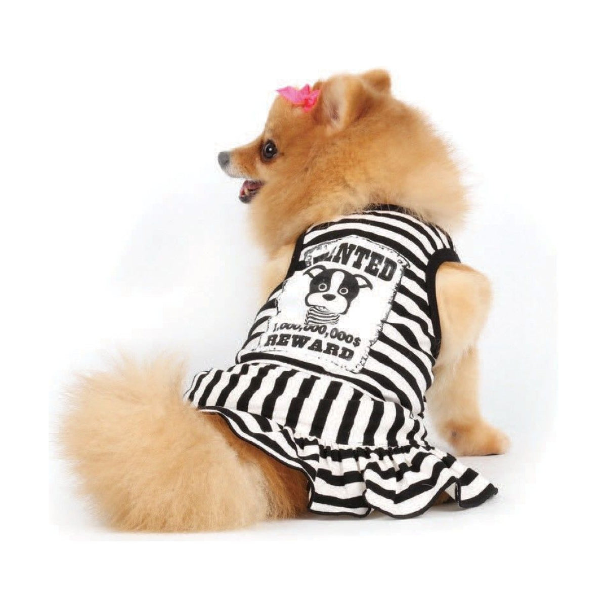 DOGGY DOLLY Robe débardeur WANTED – Robe rayée pour chienne – photo 2
