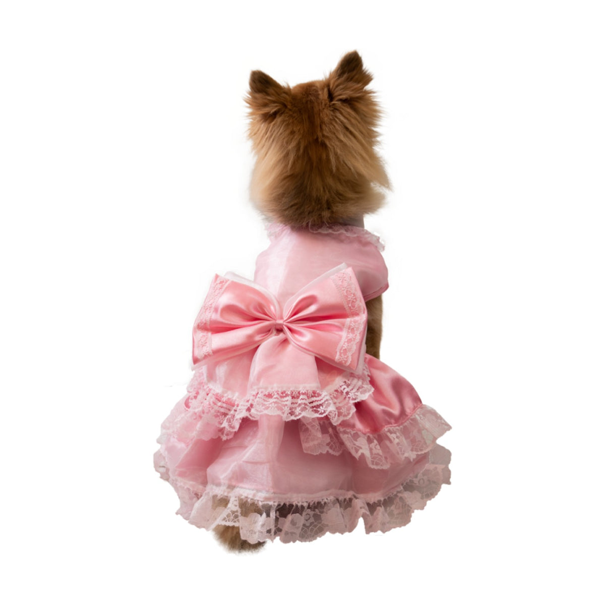 DOGGY DOLLY Robe nœud et dentelle – Robe rose à volants pour petit chien – photo 2