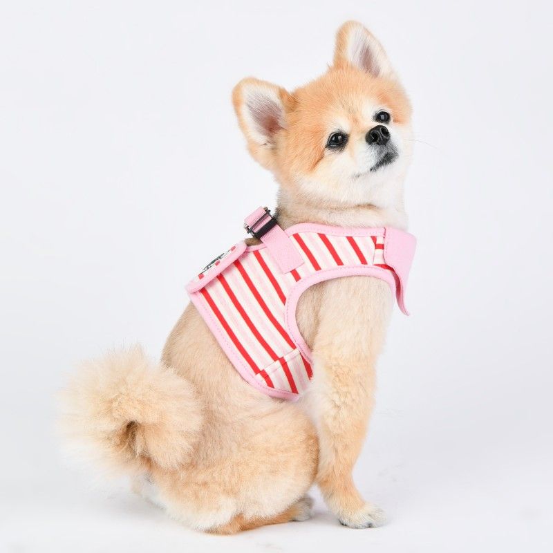 PUPPIA Harnais veste Seaman – Harnais marinière avec bandana pour petit chien – photo 1