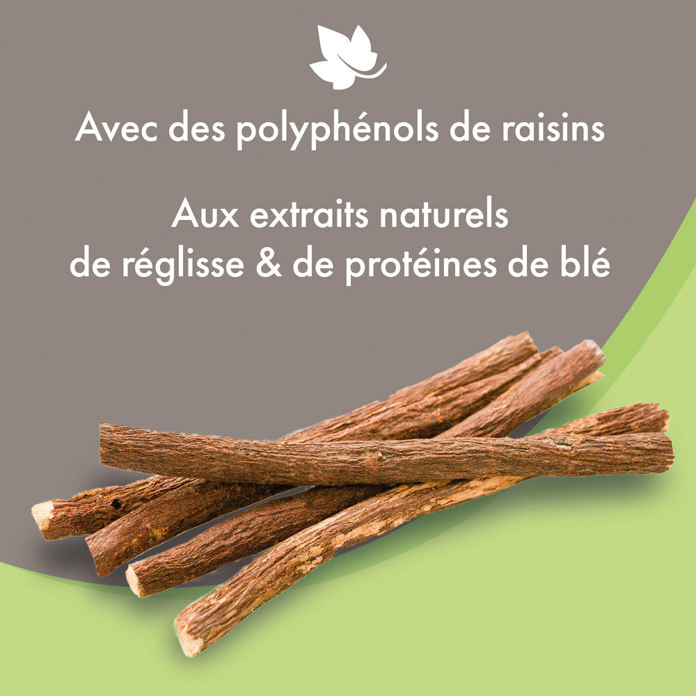 Beaphar Empreinte Shampoing doux tous pelages – Réglisse et protéines de blé – photo 4