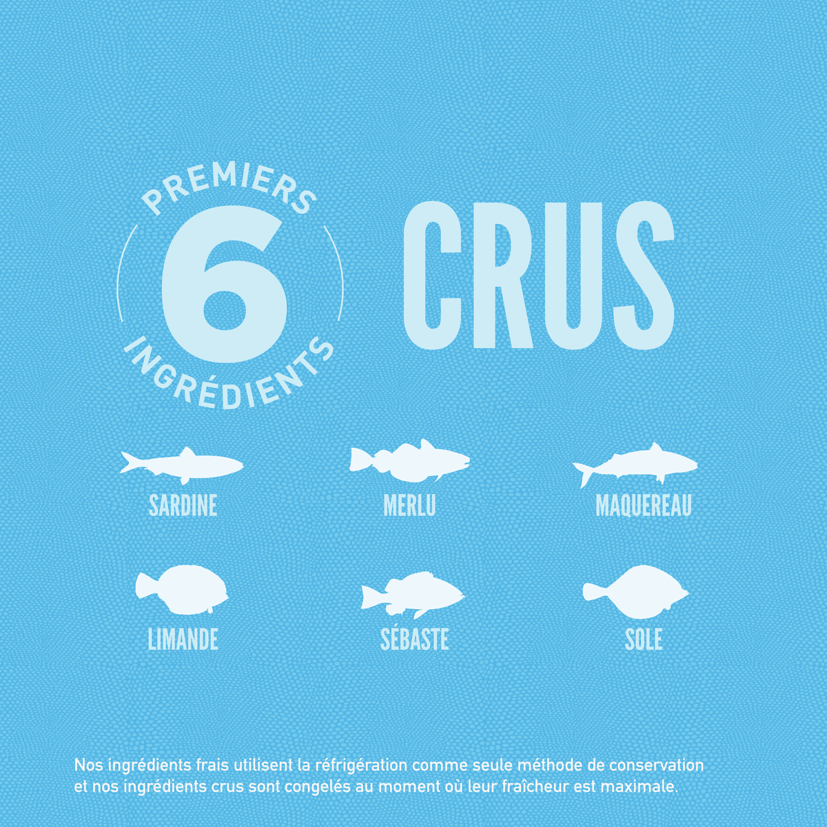 Croquettes ORIJEN CAT SIX FISH – photo 4